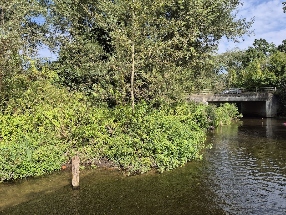 Earlham Park photo