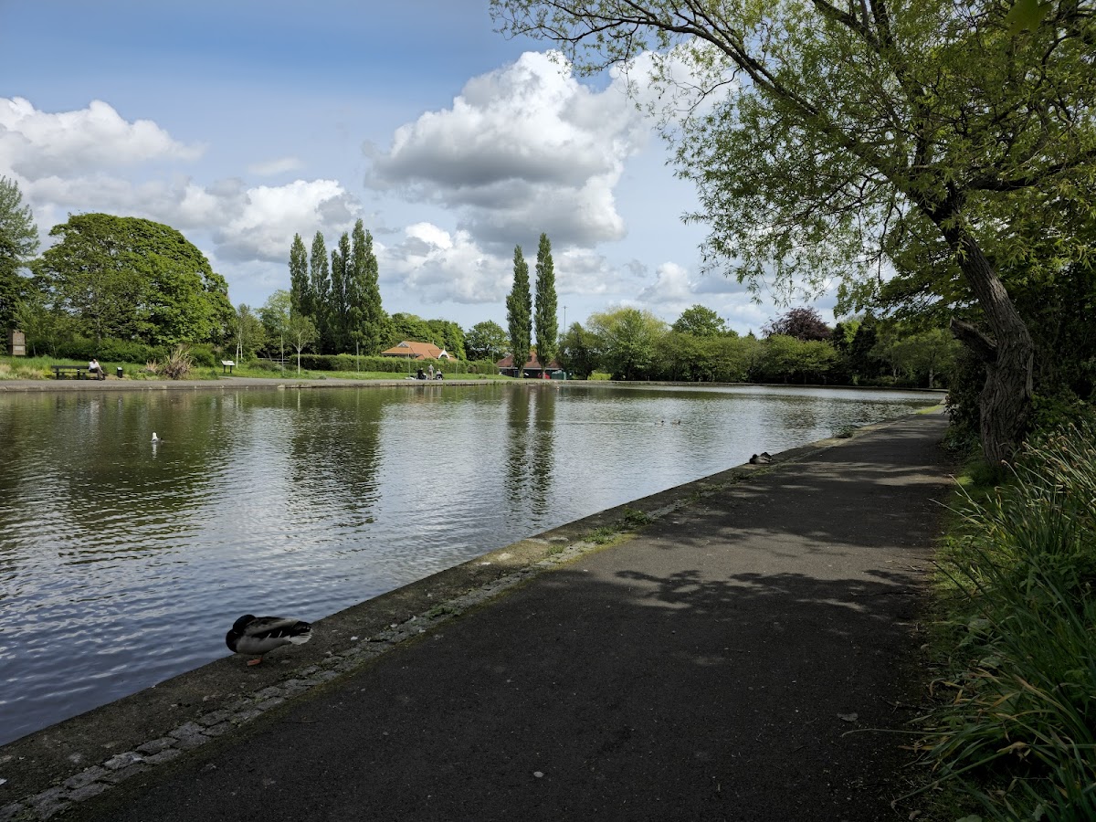 Exhibition Park photo