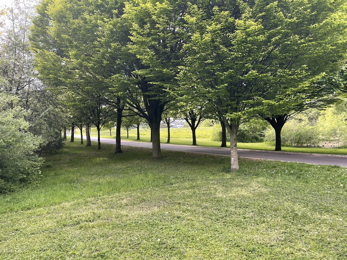 Falls Park photo