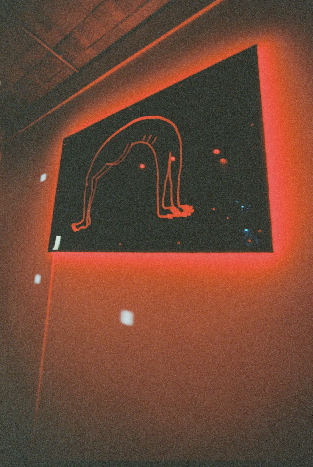 Gut Level Sheffield photo