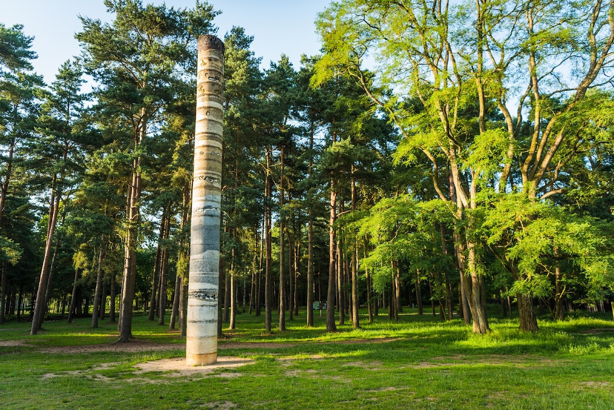 High Lodge, Thetford Forest photo
