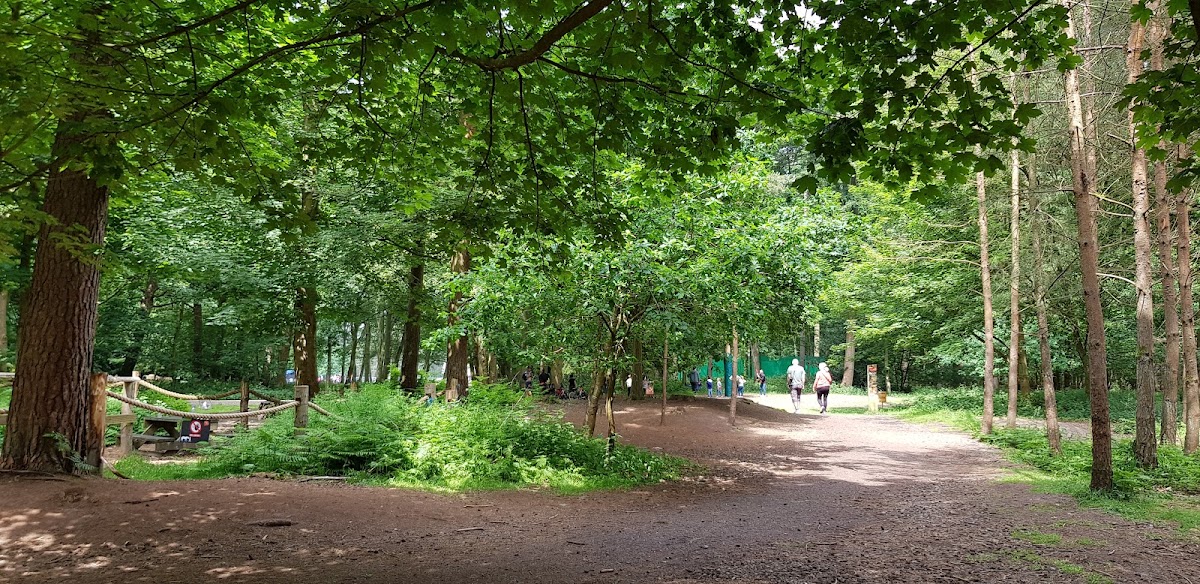 High Lodge, Thetford Forest photo