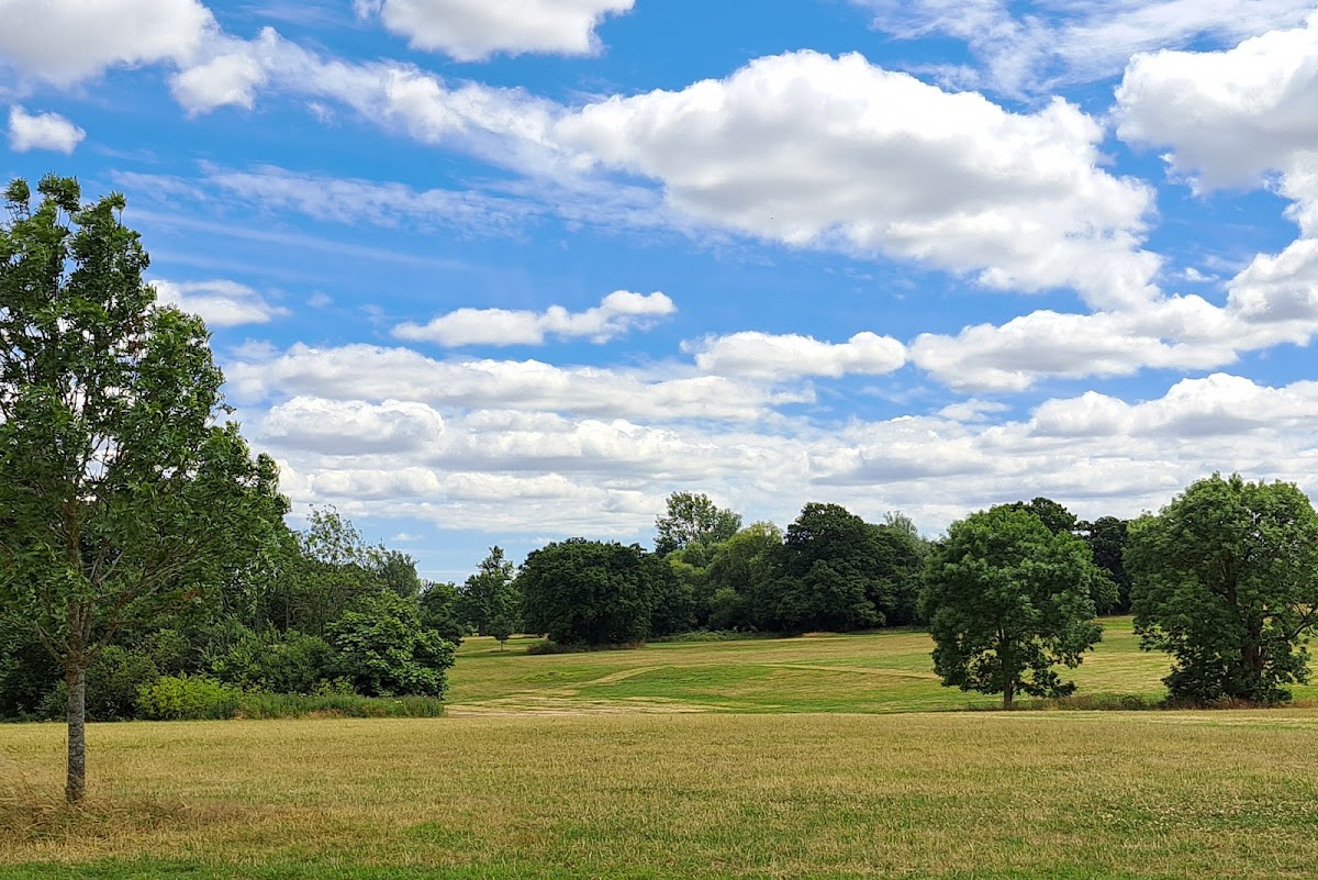 Hylands Park Chelmsford photo