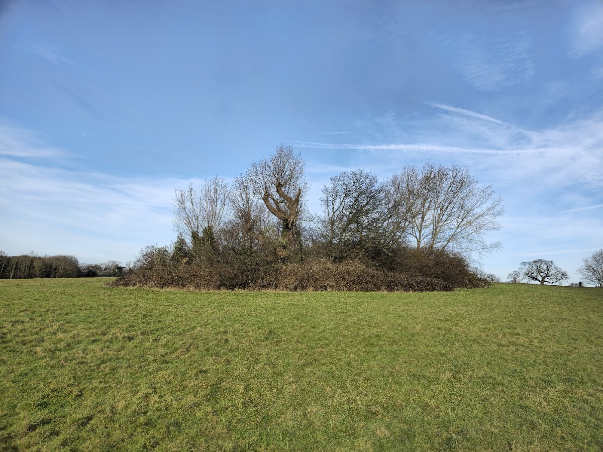 Morden Park photo