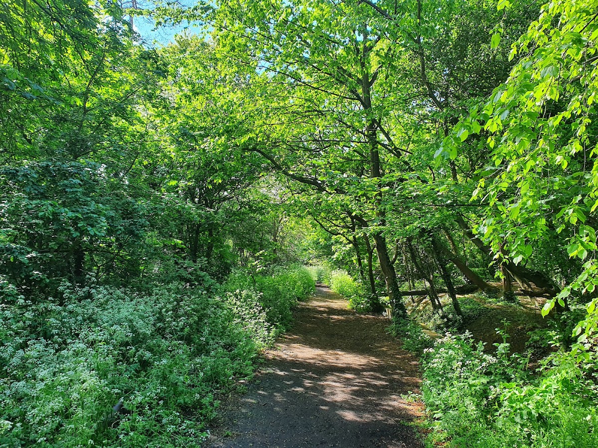 Morden Park photo