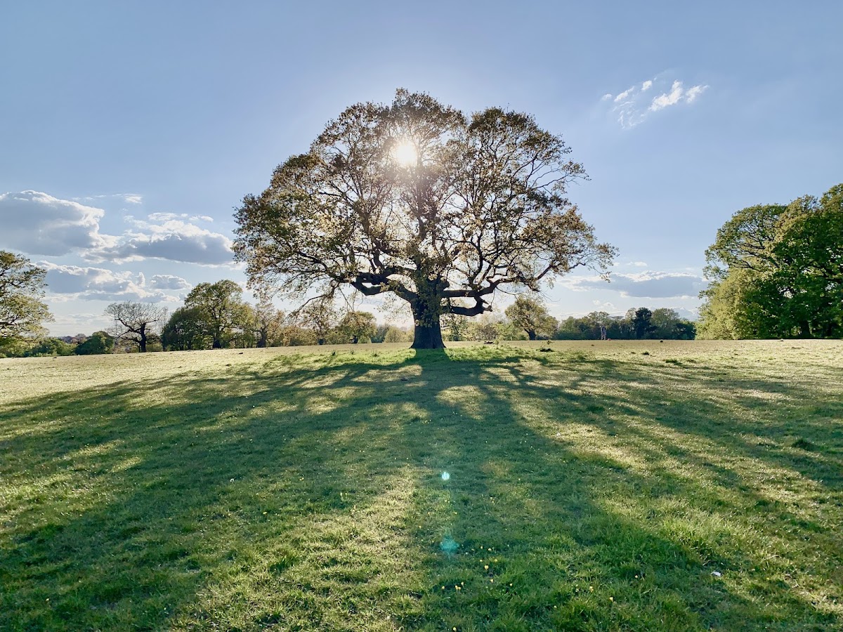 Morden Park photo