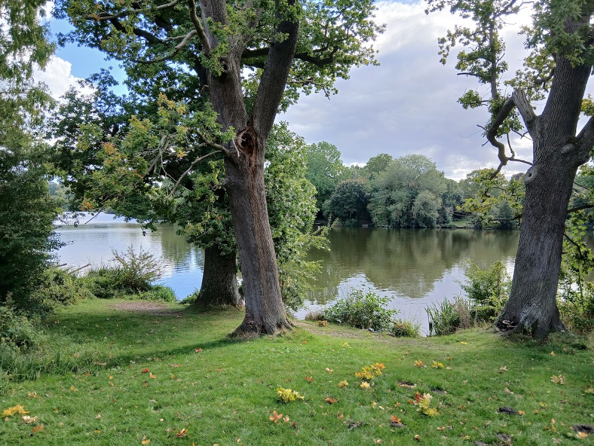 Mote Park photo