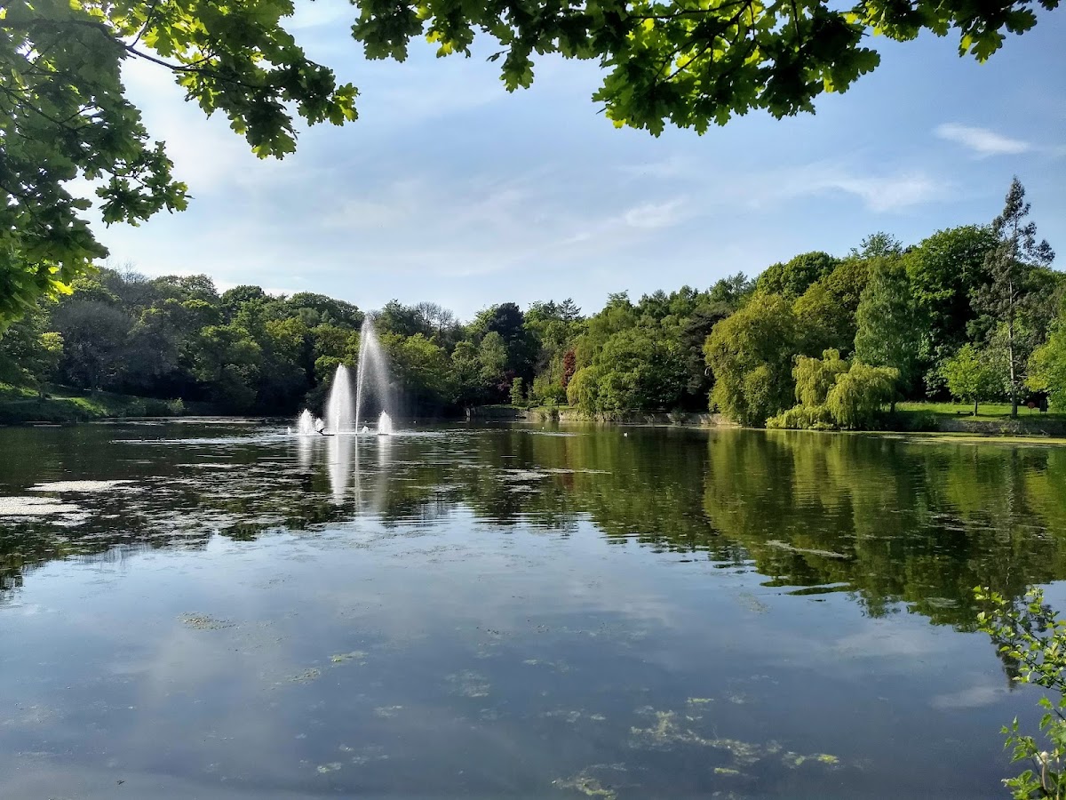 Roundhay Park photo