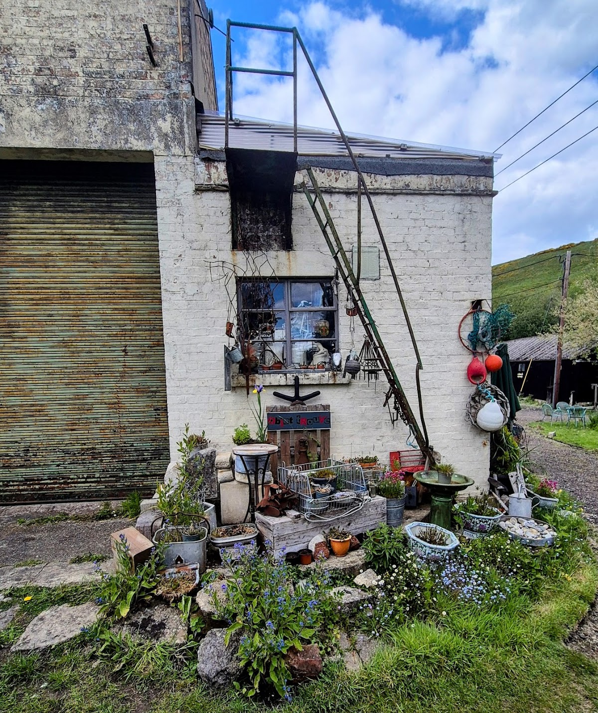 Sandy Hill Arts photo