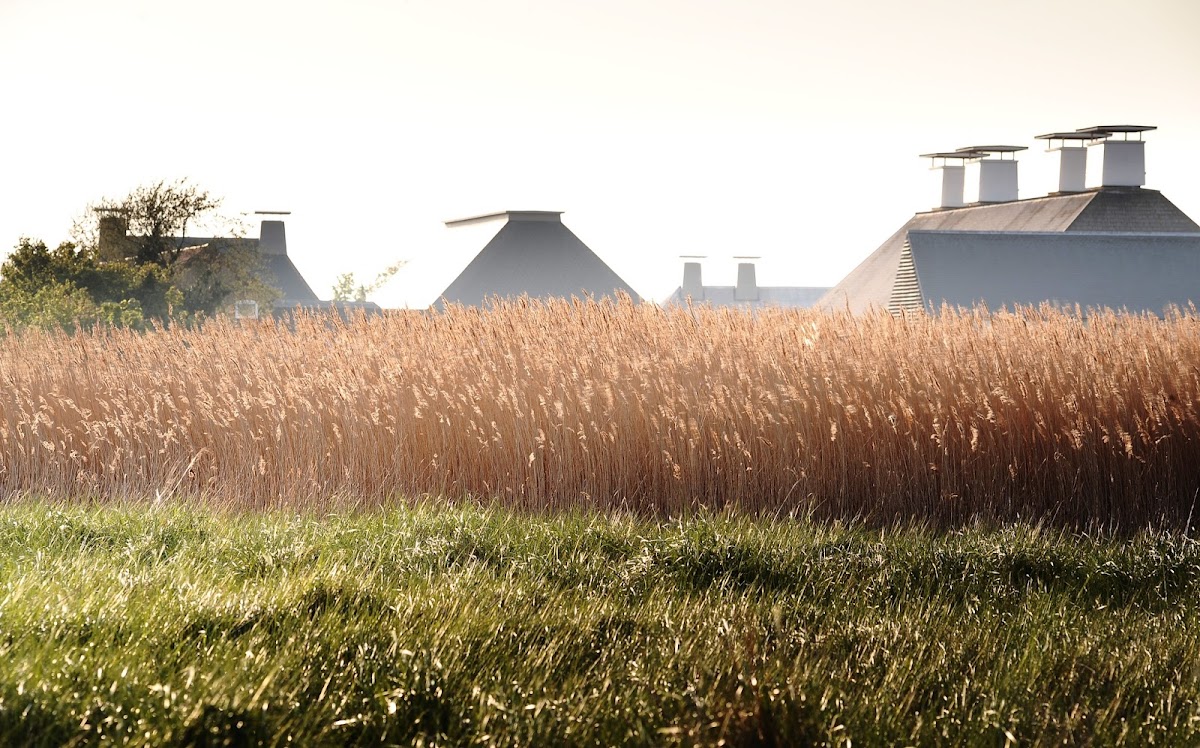 Snape Maltings photo