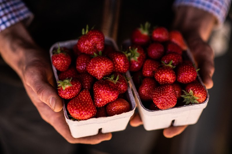 Strawberry Fields photo