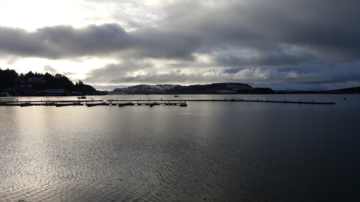 The Corran Halls photo