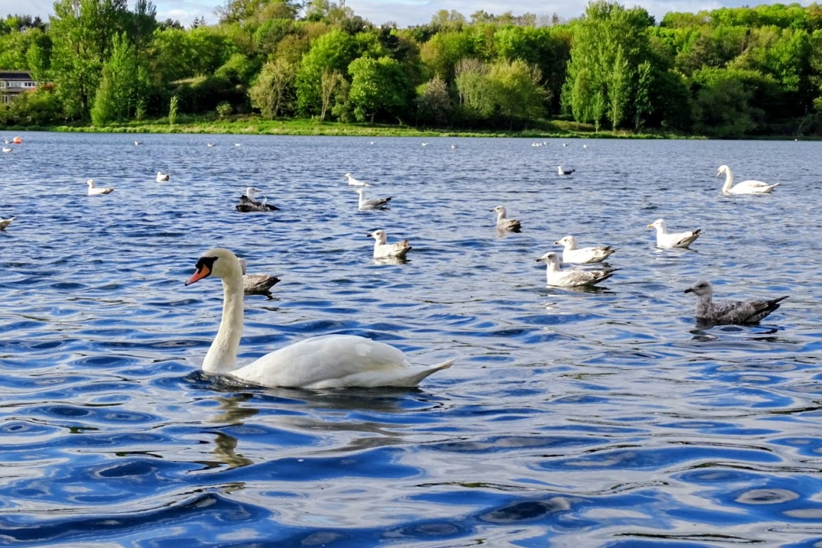 The Peel, Linlithgow Palace photo