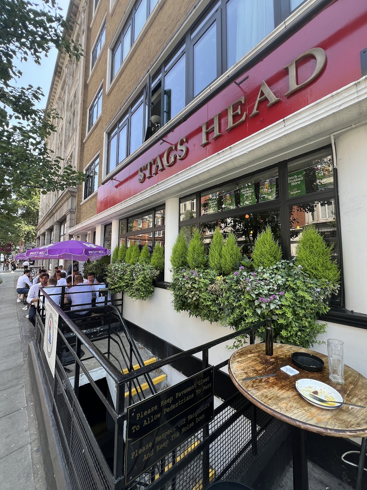 The Stags Head photo