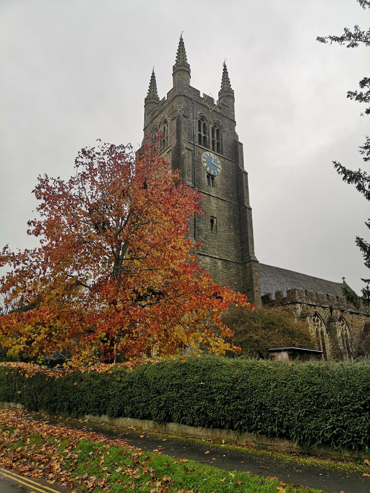 The Tenterden Club photo