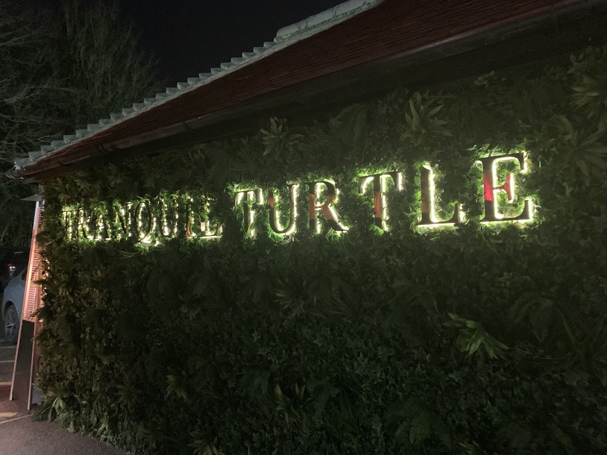 The Tranquil Turtle photo