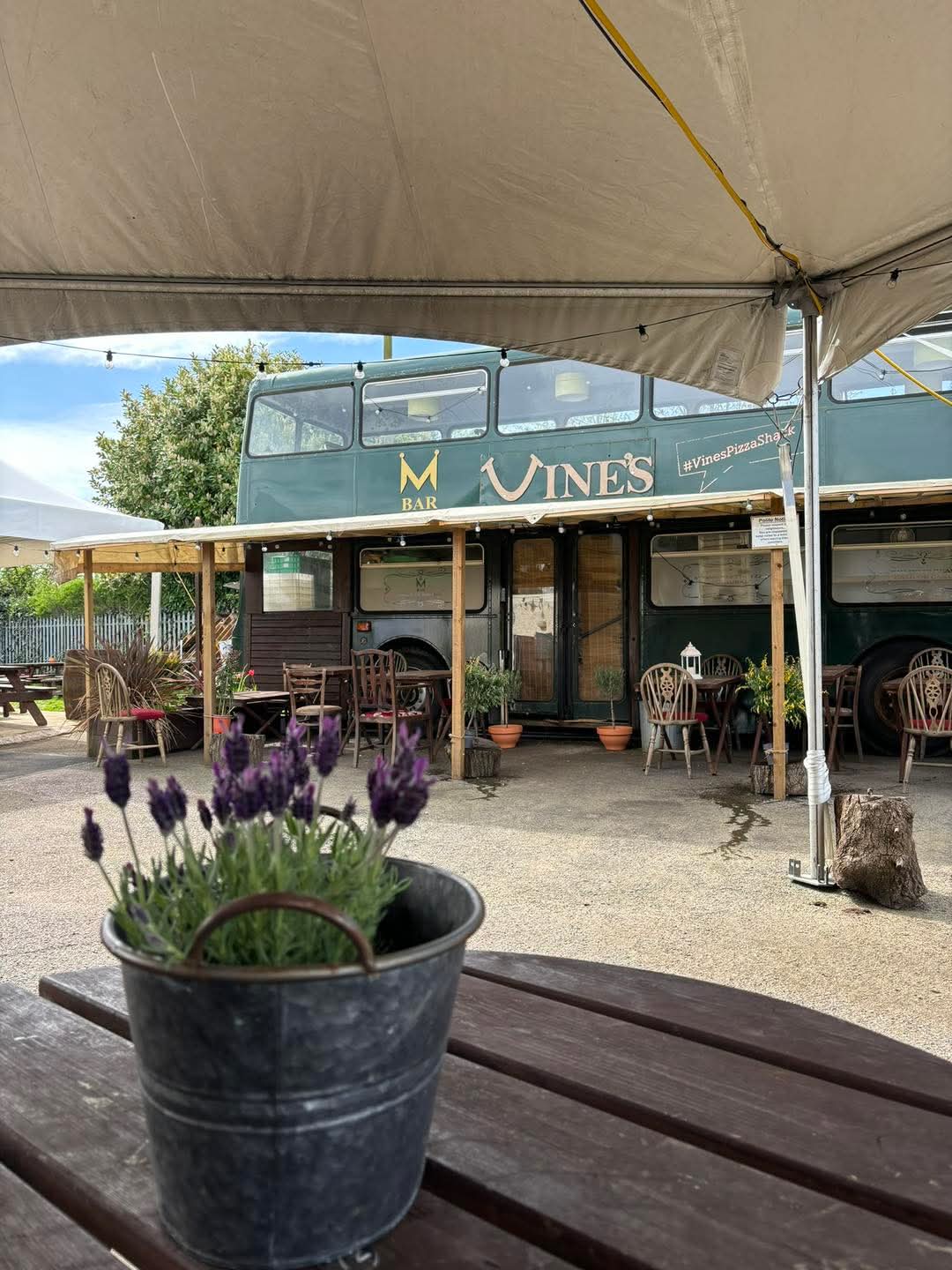 The Vines At The Peacock photo