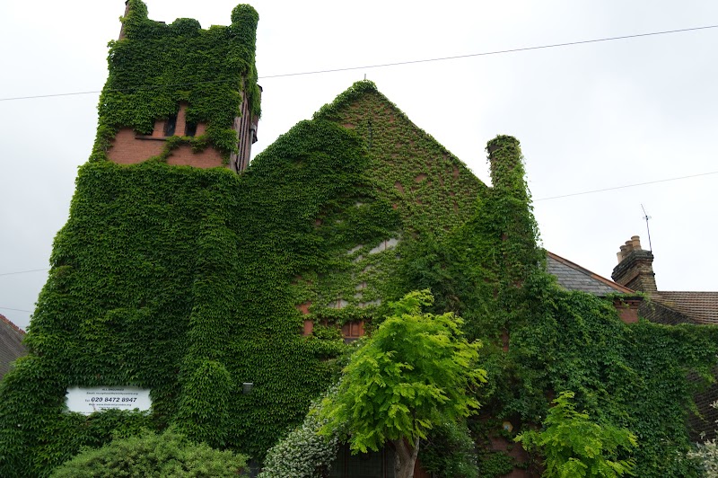 TRINITY CENTER photo