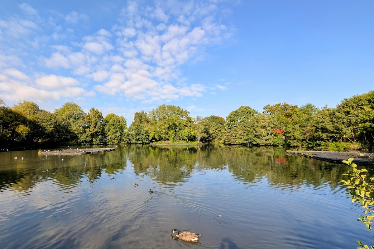 Tudor Grange Park Solihull photo