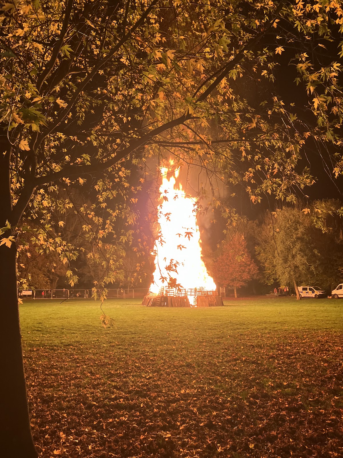 Tudor Grange Park Solihull photo