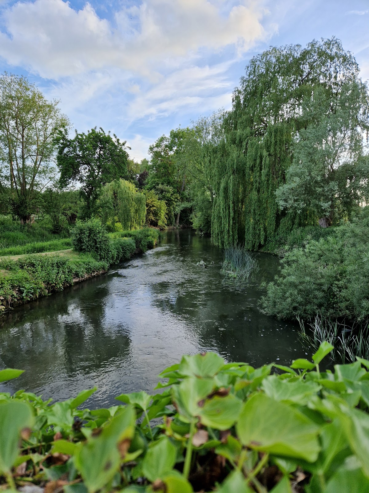 WATERPERRY HOUSE photo