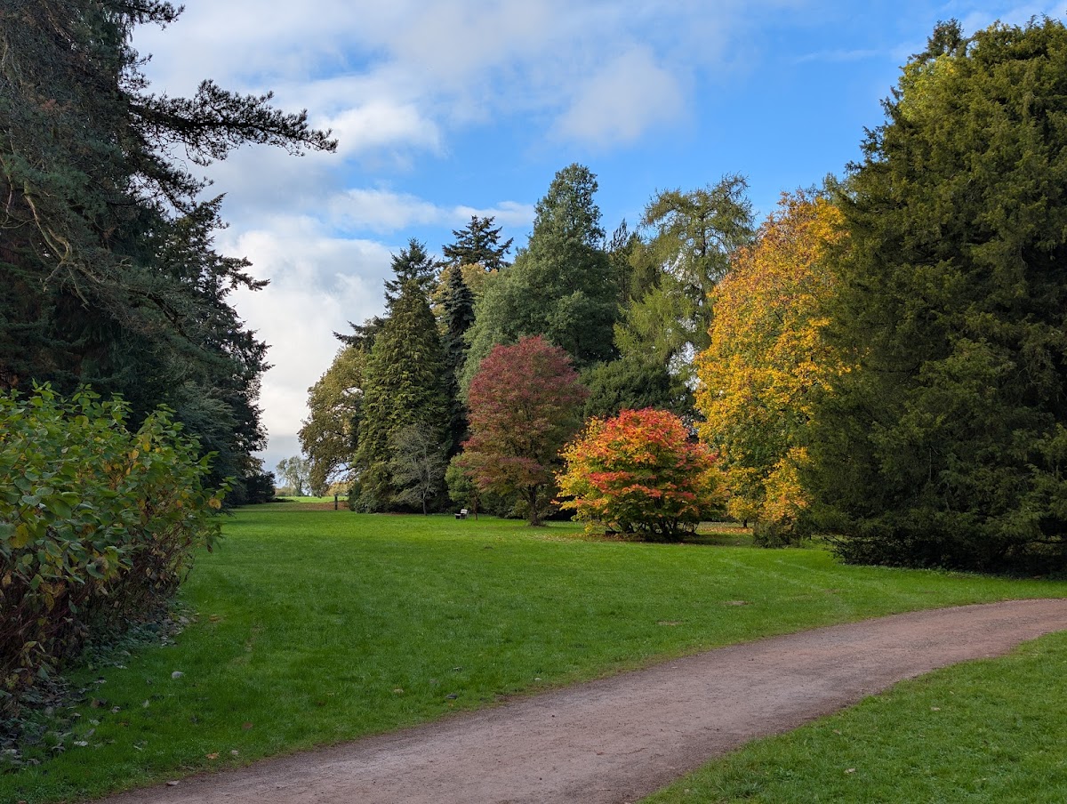 Westonbirt Arboretum photo