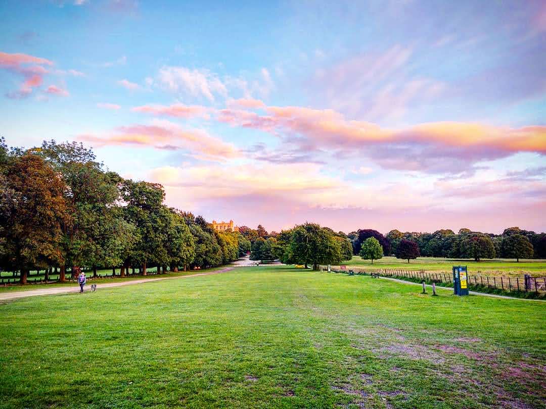 Wollaton Park photo