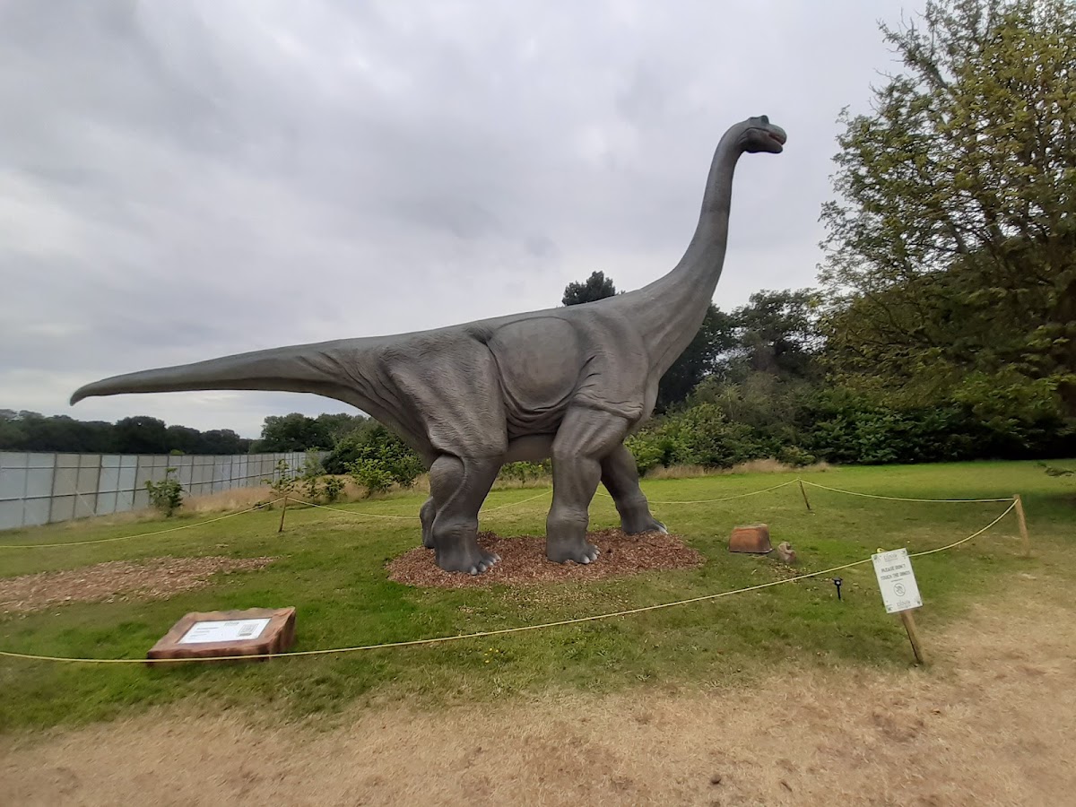 Wythenshawe Park photo