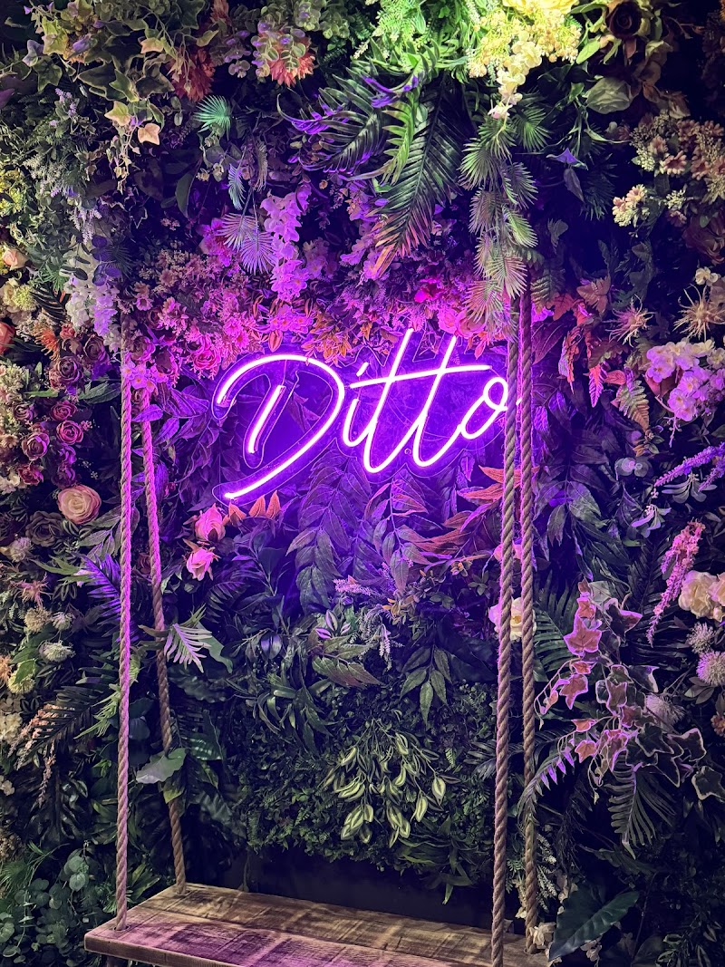 Ditto Cocktail Bar — photo 3