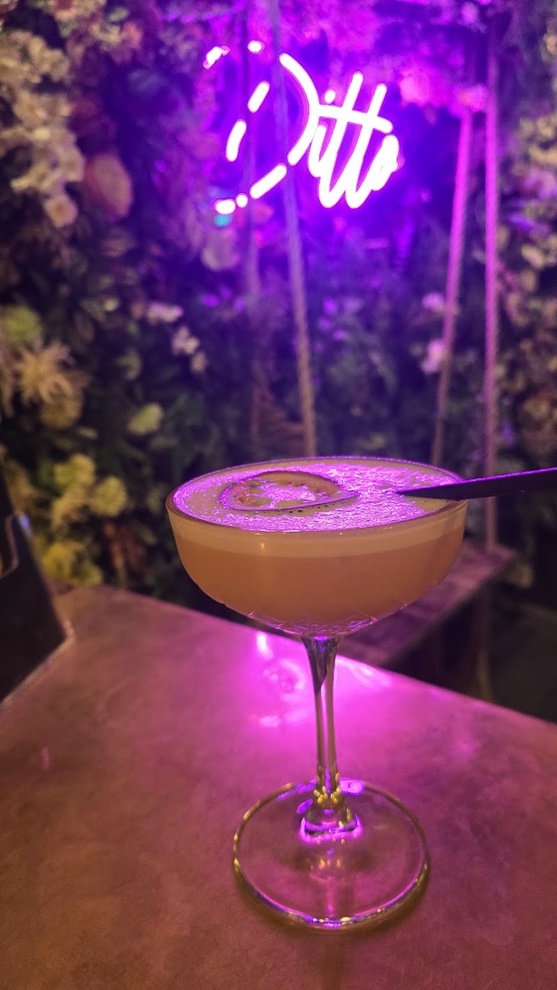 Ditto Cocktail Bar — photo 4