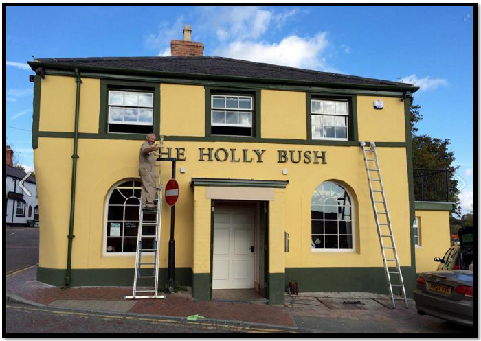 Holly Bush Inn photo