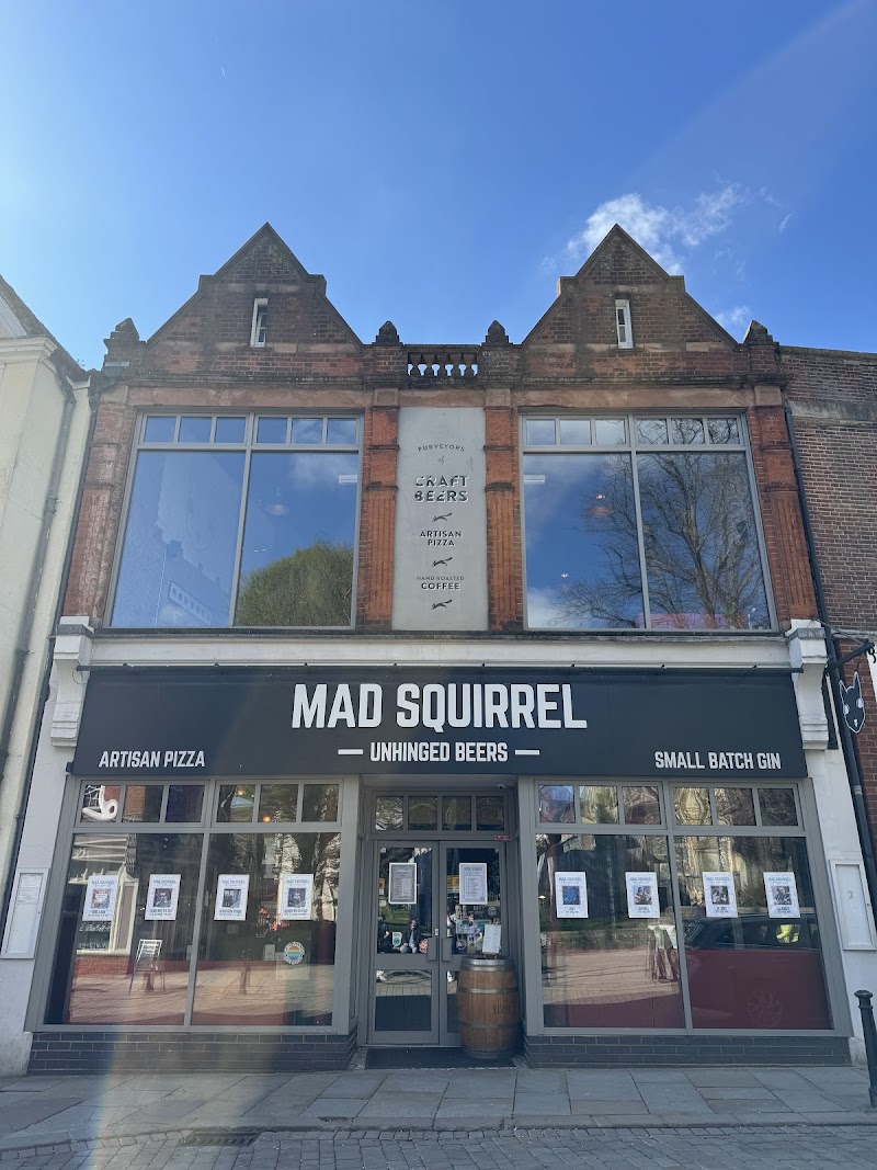 Mad Squirrel photo