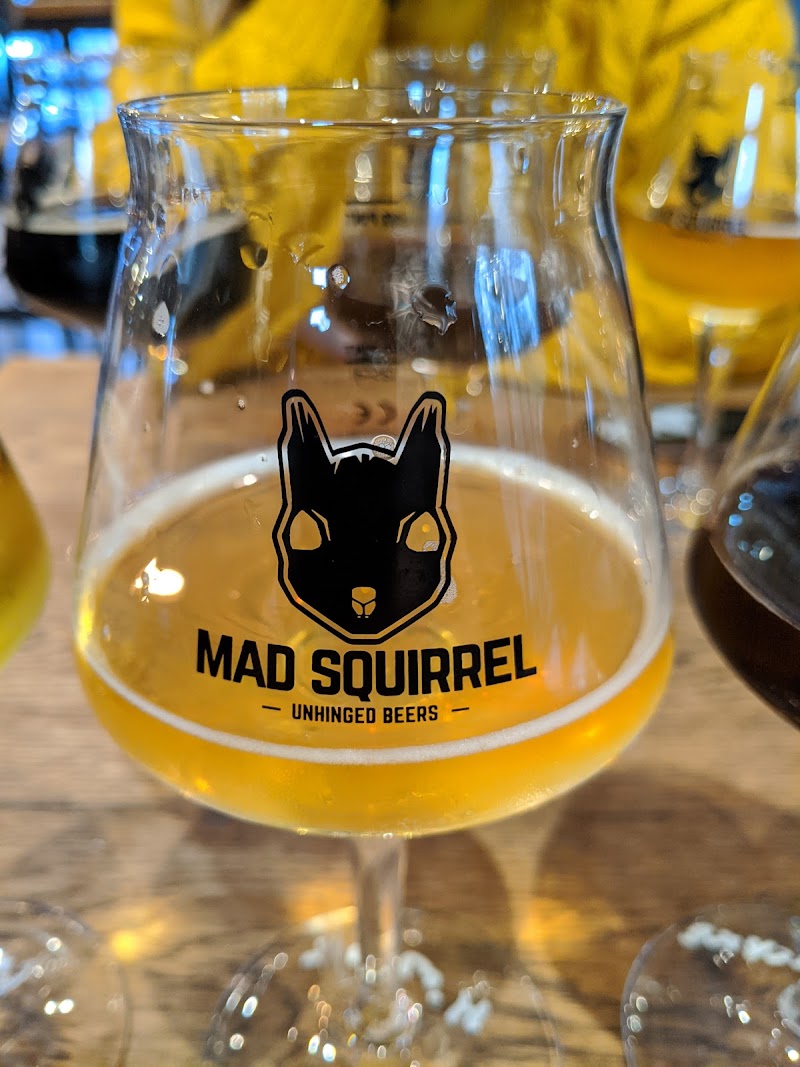Mad Squirrel photo