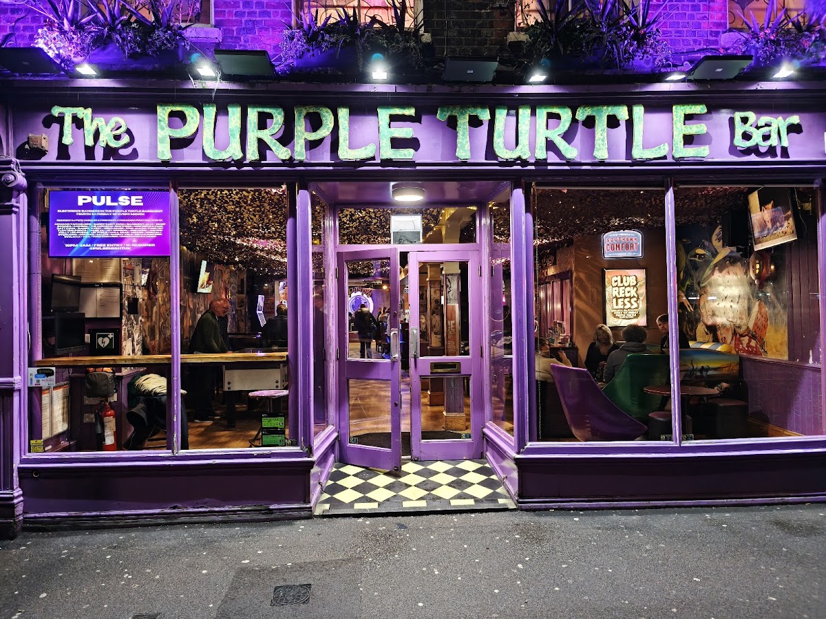 Purple Turtle photo