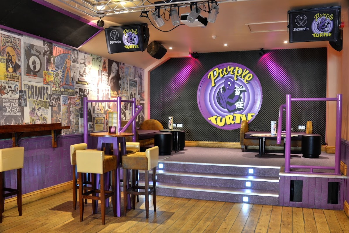 Purple Turtle photo