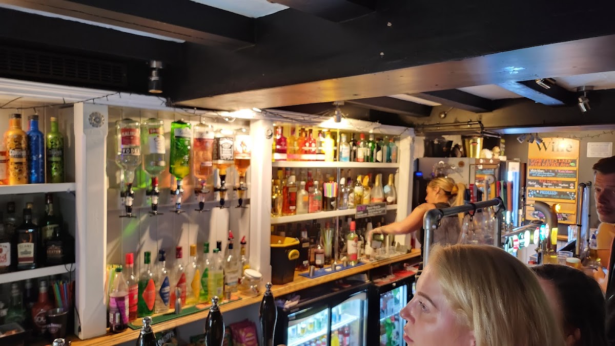 Swan and Hedgehog Inn photo