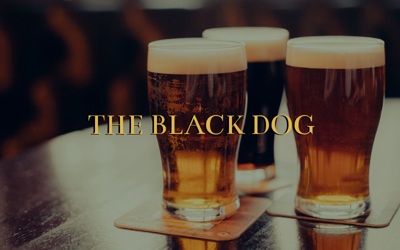 The Black Dog photo