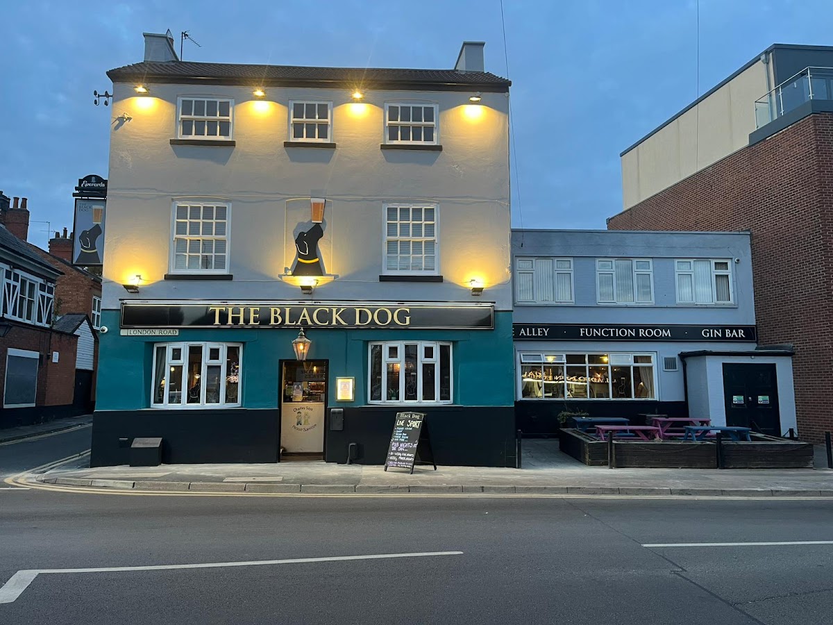 The Black Dog photo
