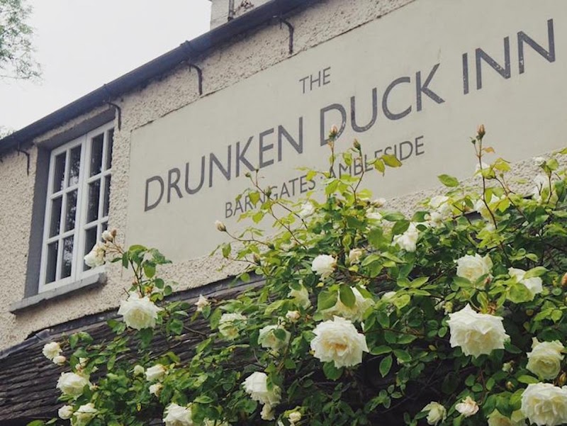 The Drunken Duck photo