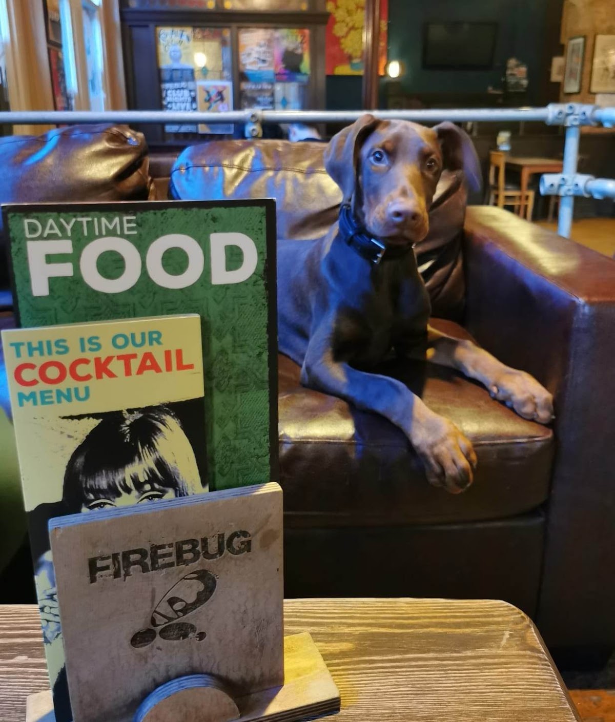 Firebug photo