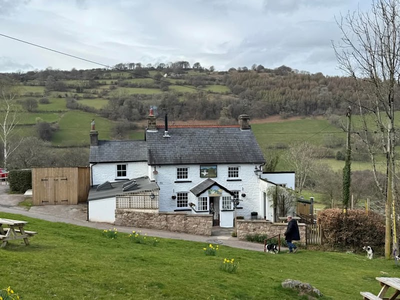 The Goose & Cuckoo photo