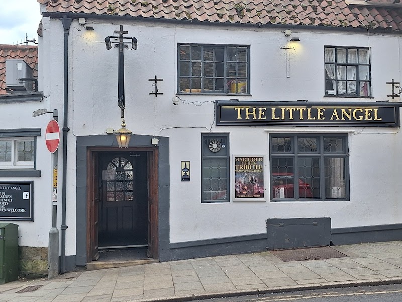 The Little Angel — photo 3