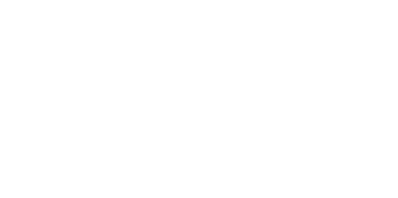 The Lost and Found photo