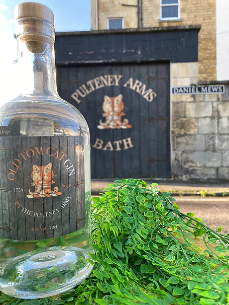The Pulteney Arms photo