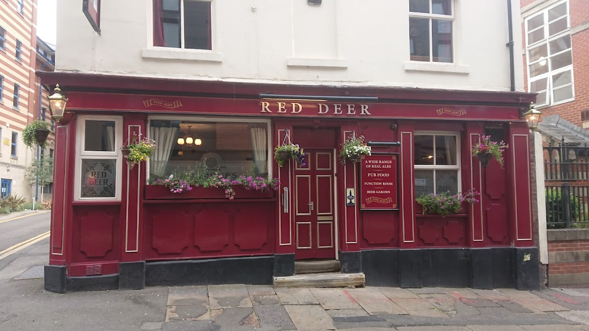 The Red Deer photo