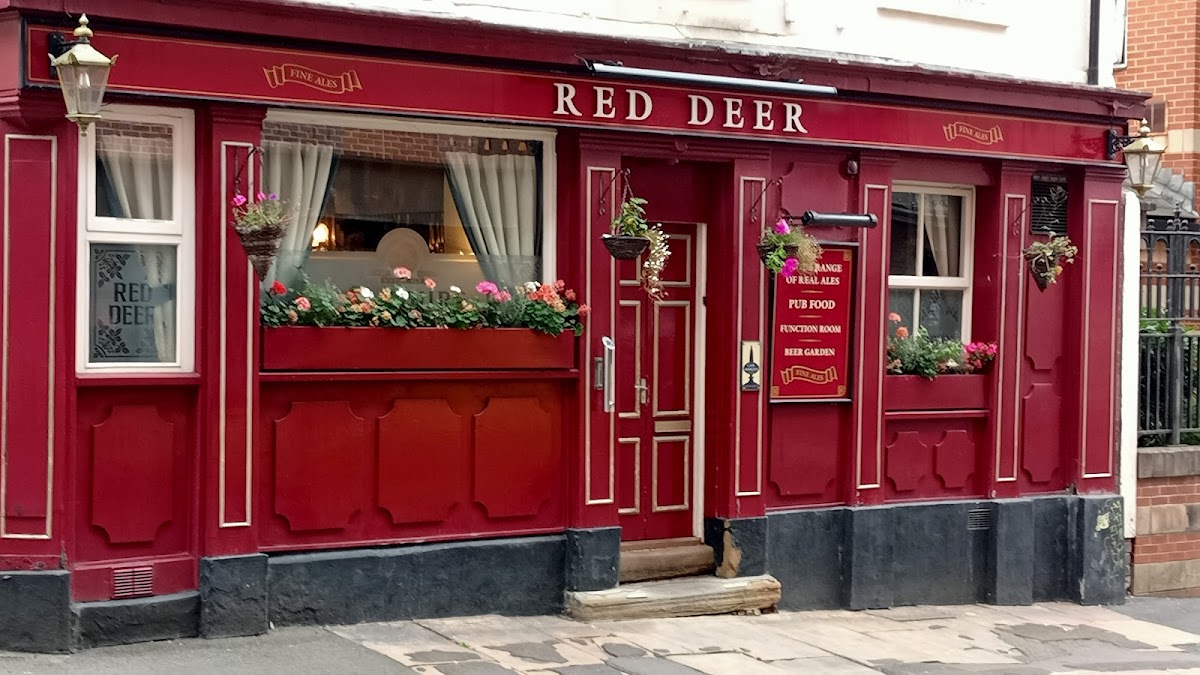 The Red Deer photo