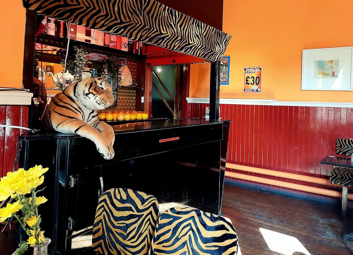 The Safari Lounge photo