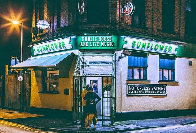 The Sunflower photo