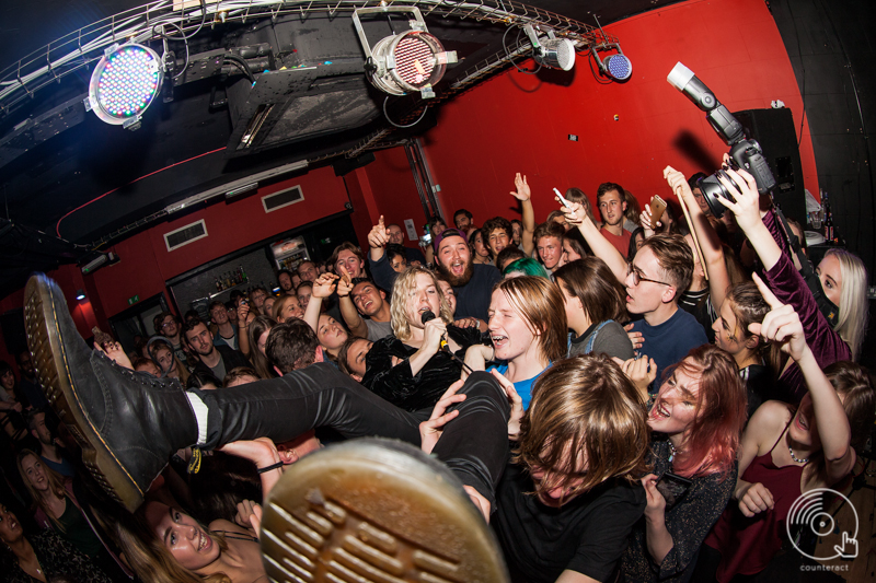The Sunflower Lounge photo