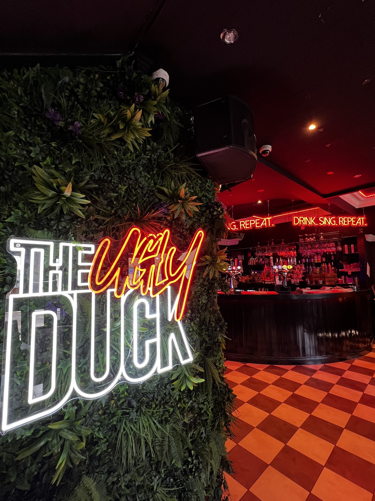 The Ugly Duck photo